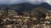 Maui wildfire report shows communities how to avoid similar disasters 