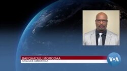 Qophii Isportii