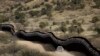 Trump Asks Supreme Court to Unfreeze Border Wall Money