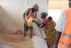A refugee receiving maize at Dzaleka refugee camp in Malawi. (Lameck Masina/VOA)