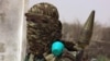 Un combattant Shebab dans un village de la région du Bas-Shabelle, au environs de Mogadiscio, le 17 février 2011.