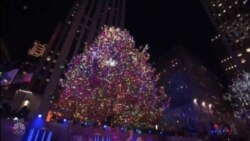Americans Get Creative With Holiday Decorations