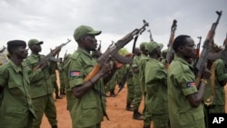 South Sudanese rebel soldiers raise their weapons at a military camp in the capital Juba, South Sudan, Thursday, April 7, 2016.