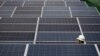 Solarada Looga Faa'ideysan karo Tamarta Cadceedda Laga Dhaliyo