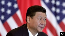資料照：中共領導人習近平