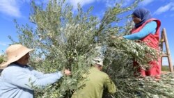 Croissance économique en Tunisie; déficit budgétaire en hausse au Nigeria