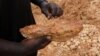 L'or contribue à un quart du budget national malien et à trois quarts des recettes d'exportation du pays.